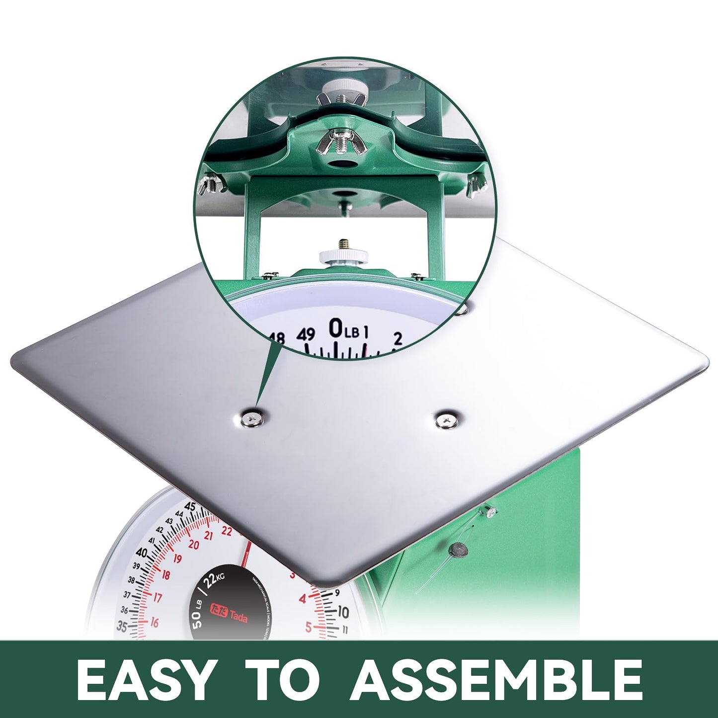 Tada 50lb Heavy Duty Mechanical Dial Kitchen and Food Scale with Stainless Steel Platform