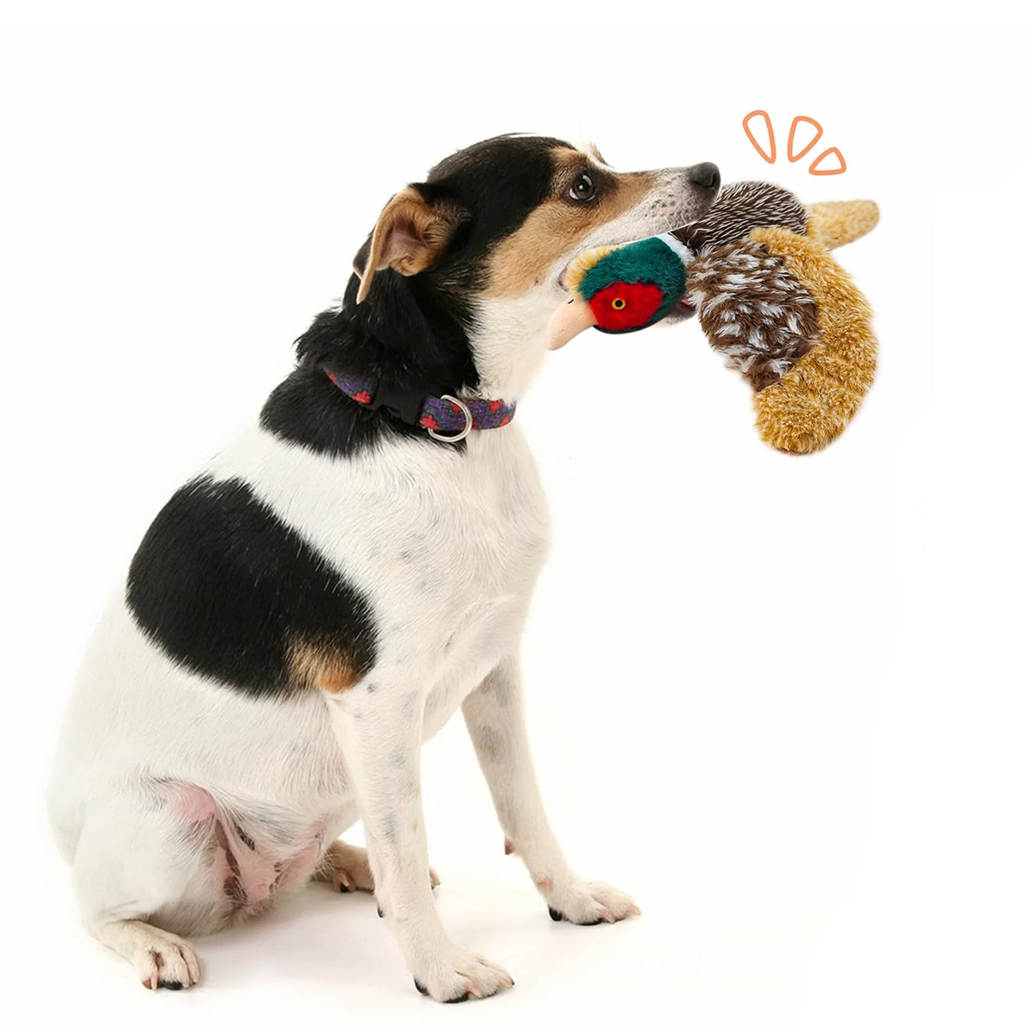 okegztoa Dog Toys Interactive Pheasant Toy Puzzle and Squeaky, Suitable for Small Medium and Large Dogs Bird Toys, Stuffed Animal Toys for Dog, Plush Toy for Dogs