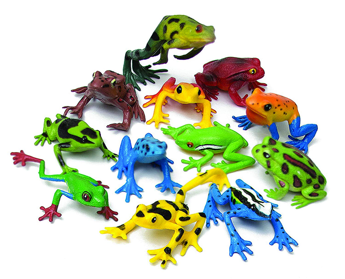 Wild Republic Frog Nature Tube, Amphibian Figures, Frog Toys, Educational Toys for Kids, 12-Piece