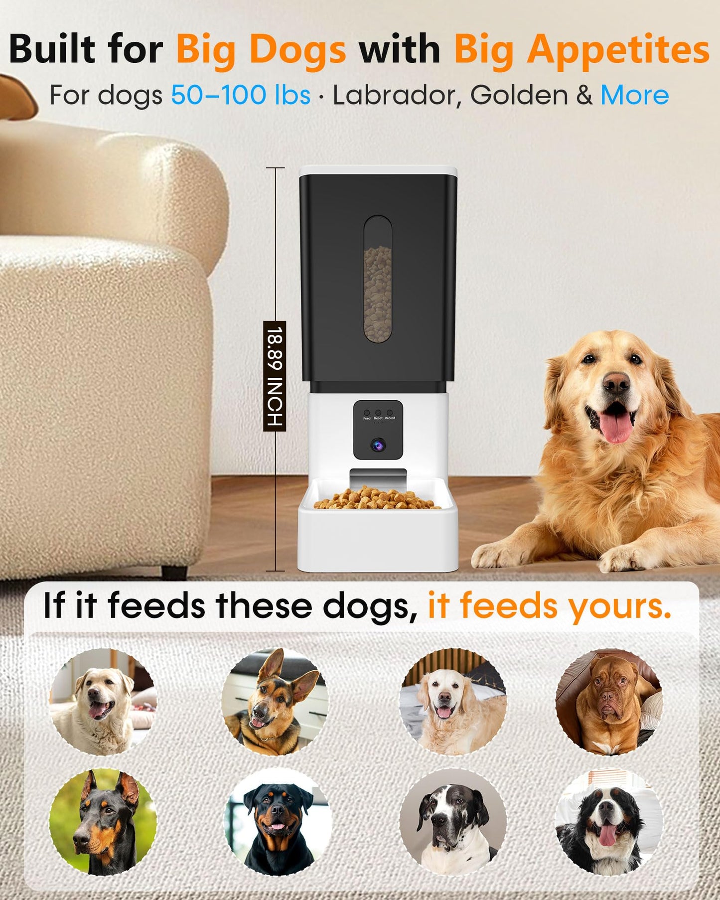 Automatic Dog Feeder Large Breed: 12L/50 Cups with HD 1080P Camera - 5G WiFi Anti-Clog Timed Dog Feeder for Golden Retriever Busy Owners by UTCG
