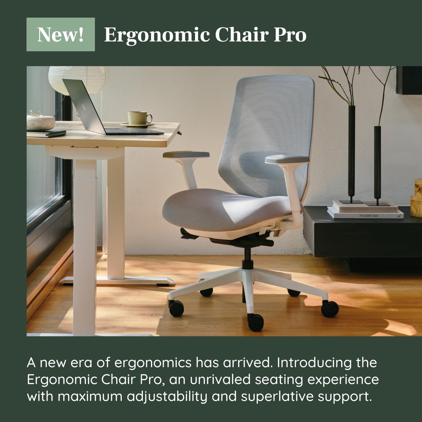 Branch Ergonomic Chair Pro - Mesh Office Chair with 14 Points of Adjustment - Height, Depth & Tilt Adjustable - 5D Armrests - Forward Tilt, Smooth Recline, and Lumbar Support - Mineral