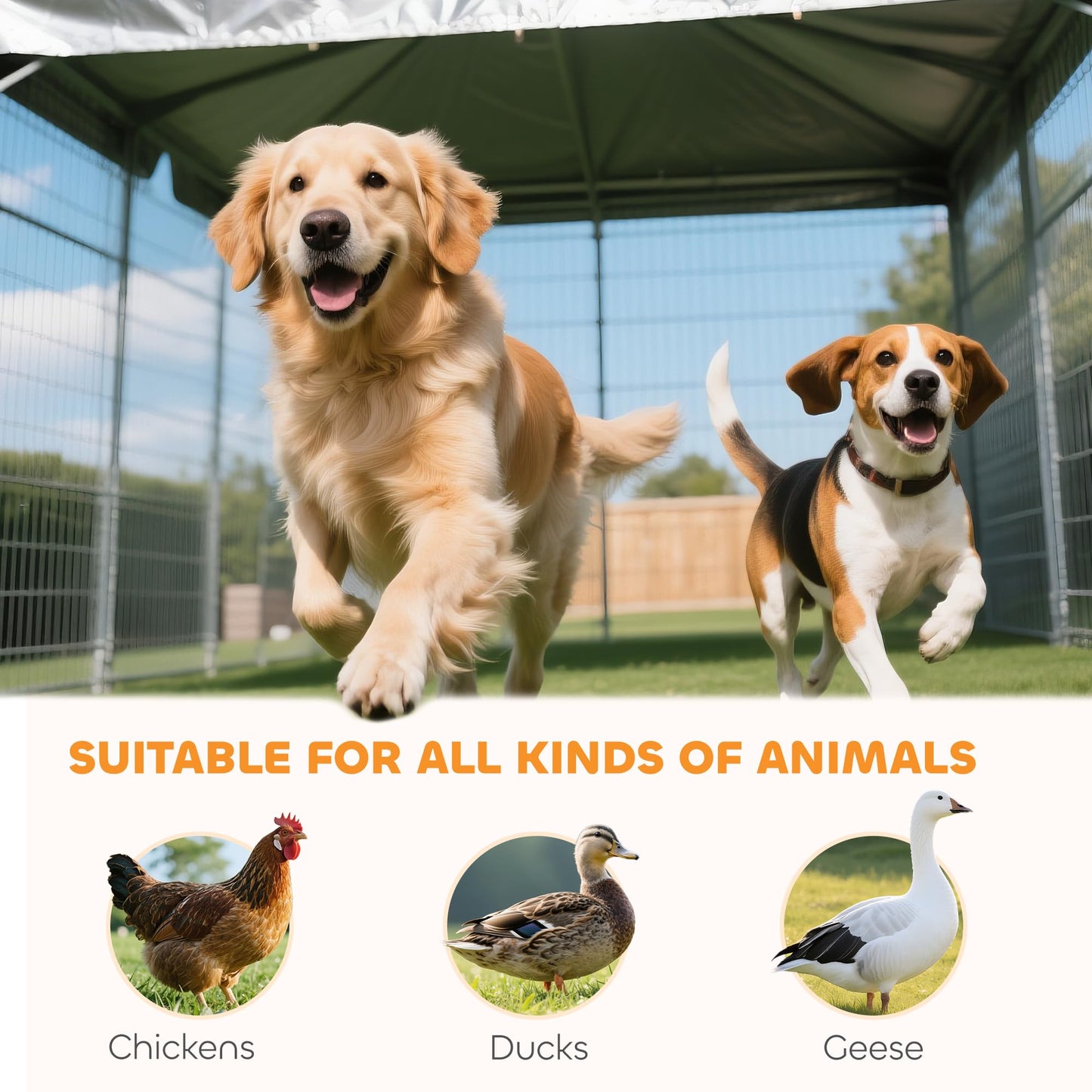 PawHut Large Outdoor Dog Kennel, Heavy Duty Galvanized Chain Link Dog Kennel Outside with Waterproof & UV-Resistant Cover, Rotating Bowls Door, for M&L Breeds, Chickens, Ducks, 20' x 7.5' x 7.5'