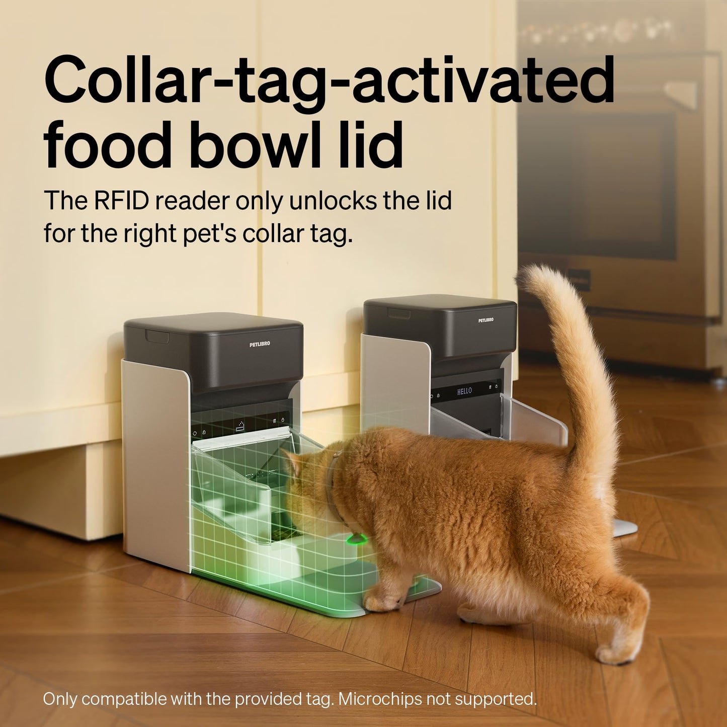 PETLIBRO RFID Automatic Cat Feeder, Collar Sensor-Activated Personalized Meals, Cats Recognition & Diet Tracking for Multi-Pet Homes and Different Diets, 5G&2.4G Wi-Fi Programmable Cat Food Dispenser