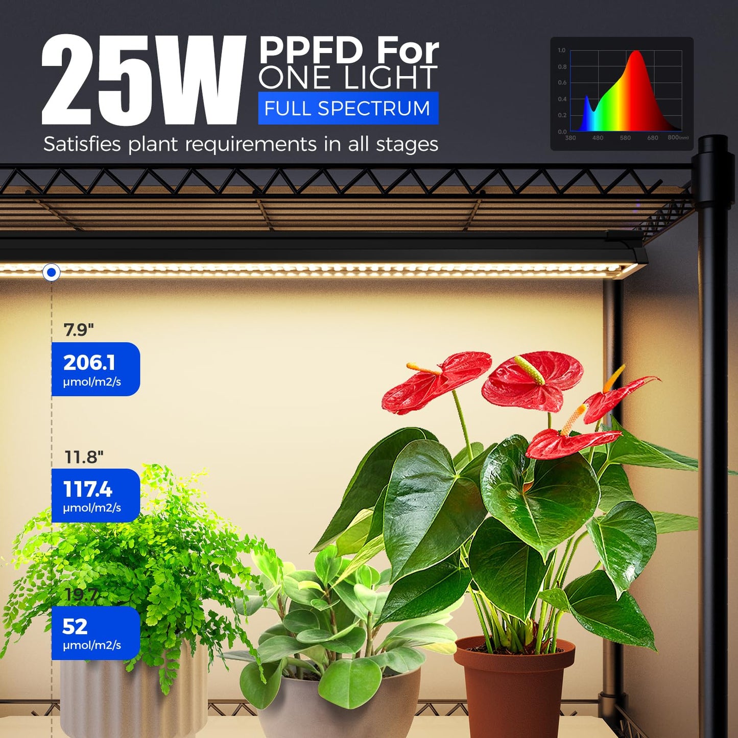 Barrina CX91Z Indoor Greenhouse with Grow Light, 5-Tier Plant Stand with Cover and 1.6FT 25W(Per Light) Full Spectrum Plant Lights, Plant Shelves with Tent for Seed Starting, 23.6x13.8x59IN