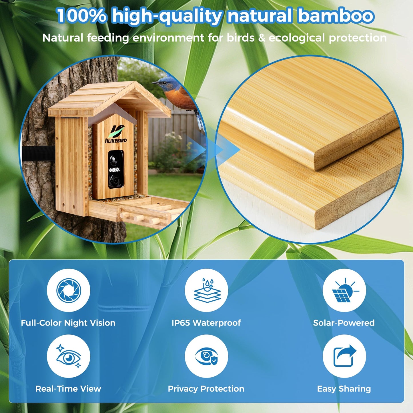 Bamboo Smart Bird Feeder with 4K Camera, AI Bird Identification 10000+ Species, Solar Powered & USB-C Charging, IP65 Weatherproof, 1.25L Speed Capacity for Outdoor Garden (Wall Mount/Pole) (Large)