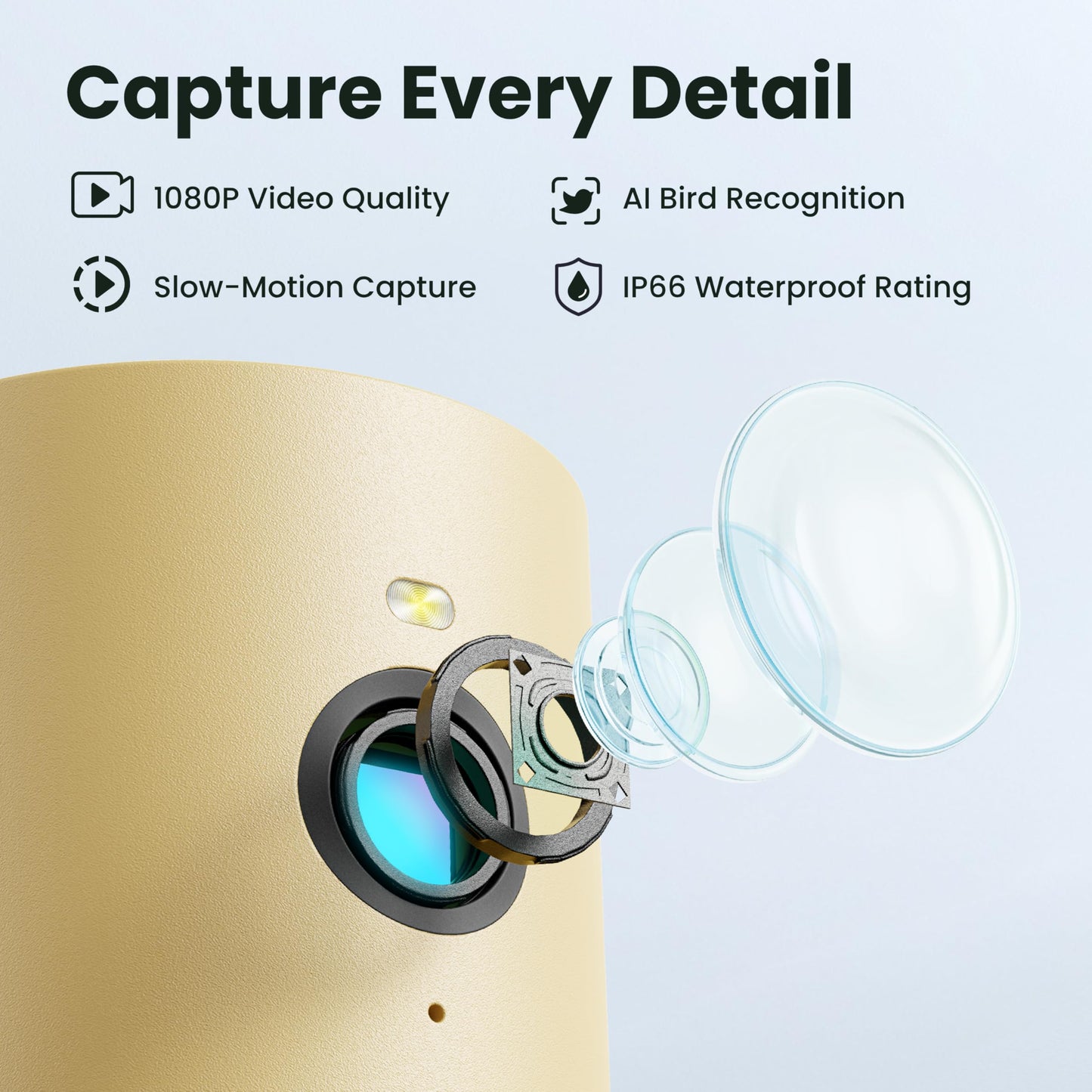 Birdfy Bird Feeder with Camera for Rookie - Solar Powered Outdoor Bird Feeder with Dual Night Vision, AI Recognition, Slow Motion & IP66 Waterproof, Ideal for BirdLovers (Lifetime Free AI)