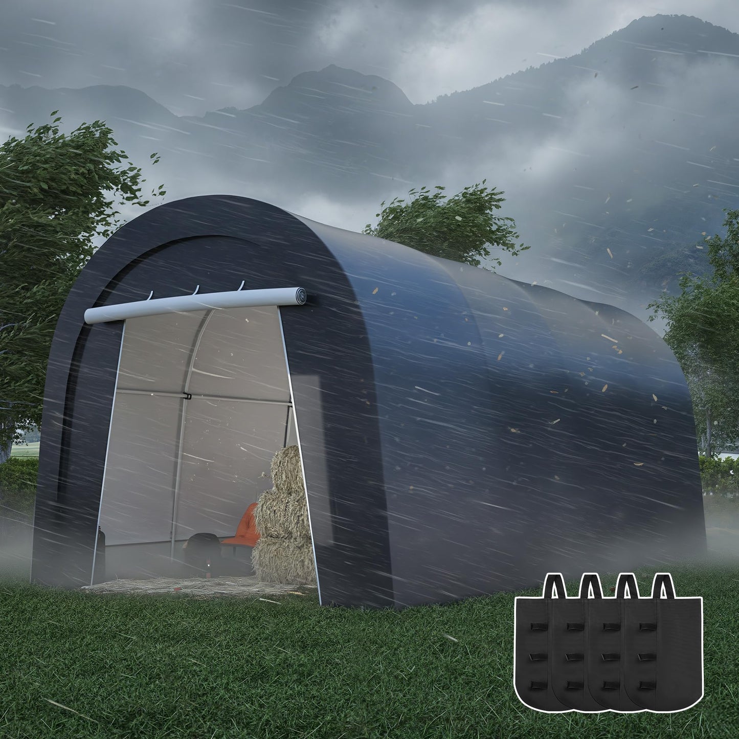 Kiss the Water Heavy Duty Carport with 4 Cloth Bags, All-Weather Car Canopy with 2 Roll-up Doors, Portable Garage Storage Shelter Shed for Cars, Truck, or Garden Tools, 10' x 20'