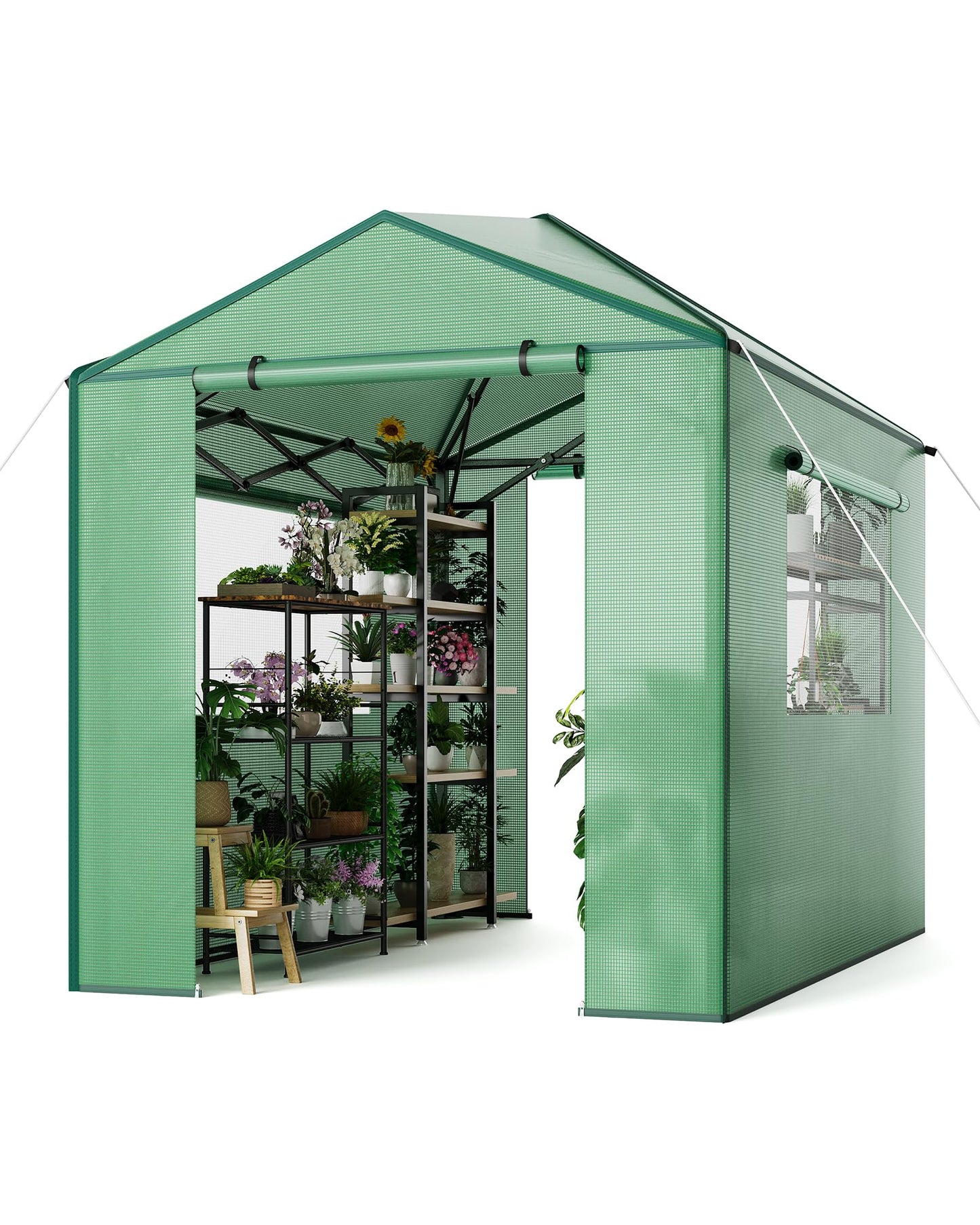 8x6 FT Portable Pops-Up Greenhouse for Indoor/Outdoor Use, Durable PE Cover Walk-in Greenhouse Kit, Zippered Doors & Mesh Windows Tunnel Green Houses, Easy Setup Garden Grow Tent for Plants, Green