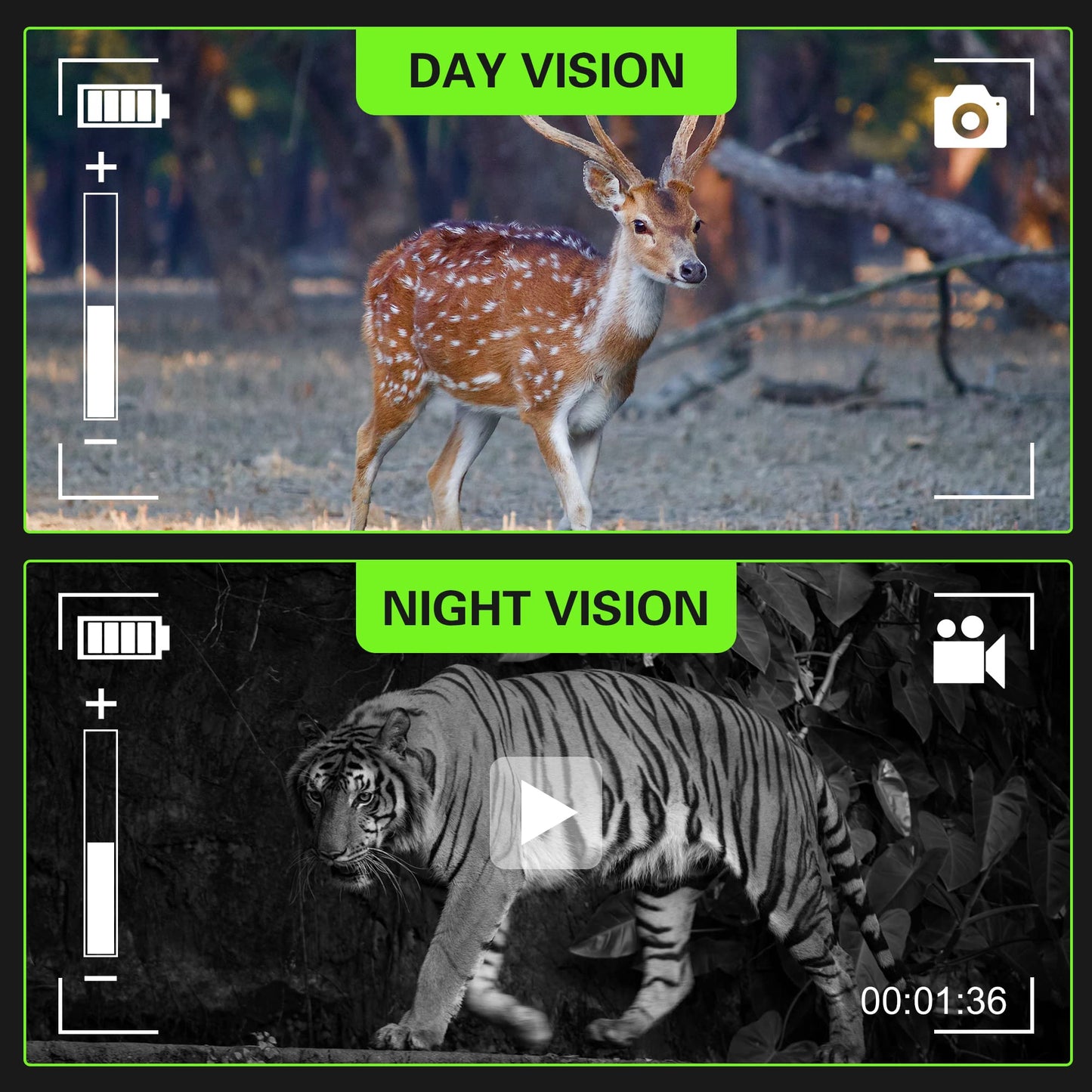 Tydeux Night Vision Binocular/Digital Infrared Night Vision Scope - Infrared 2x31 Waterproof Hunting IR Telescope with 2.0 inch TFT LCD in-View, 640x480p HD Photo Camera Video Display