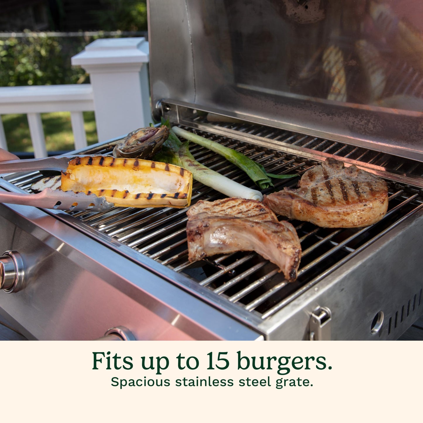Cuisinart Chef's Style Tabletop Portable Propane Grill, 20,000 BTU Stainless Steel 2-Burner Outdoor Gas Grill for Camping, Tailgates, BBQ, Hassle-Free Setup, Twist-Start Ignition, CGG-306