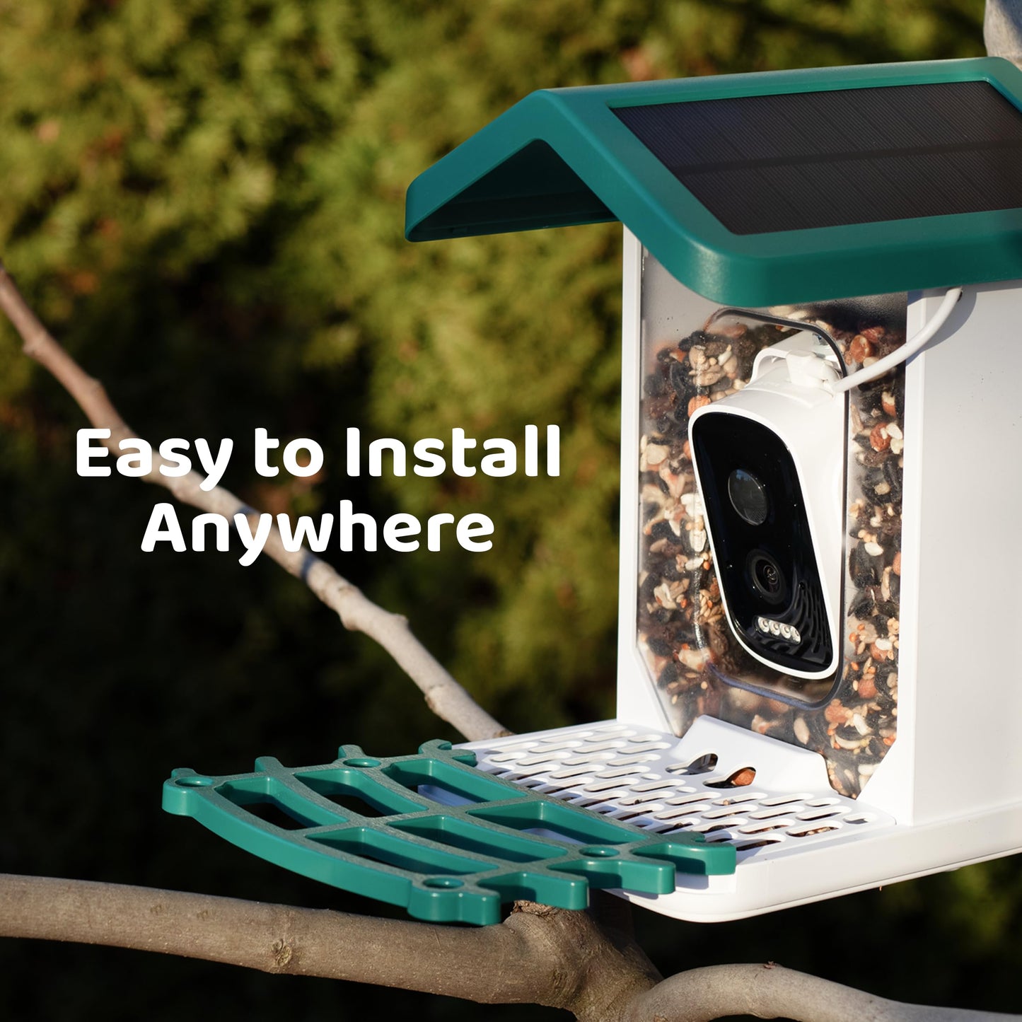 Happy Birdy Smart Bird Feeder with Camera - 2.5K HD Video, Wild Bird Feeder with Wall Mount & Pole Strap Kit, Free AI App IDs 10K+ Birds, Solar Power Panels, Infrared Night Vision, Weatherproof IP67