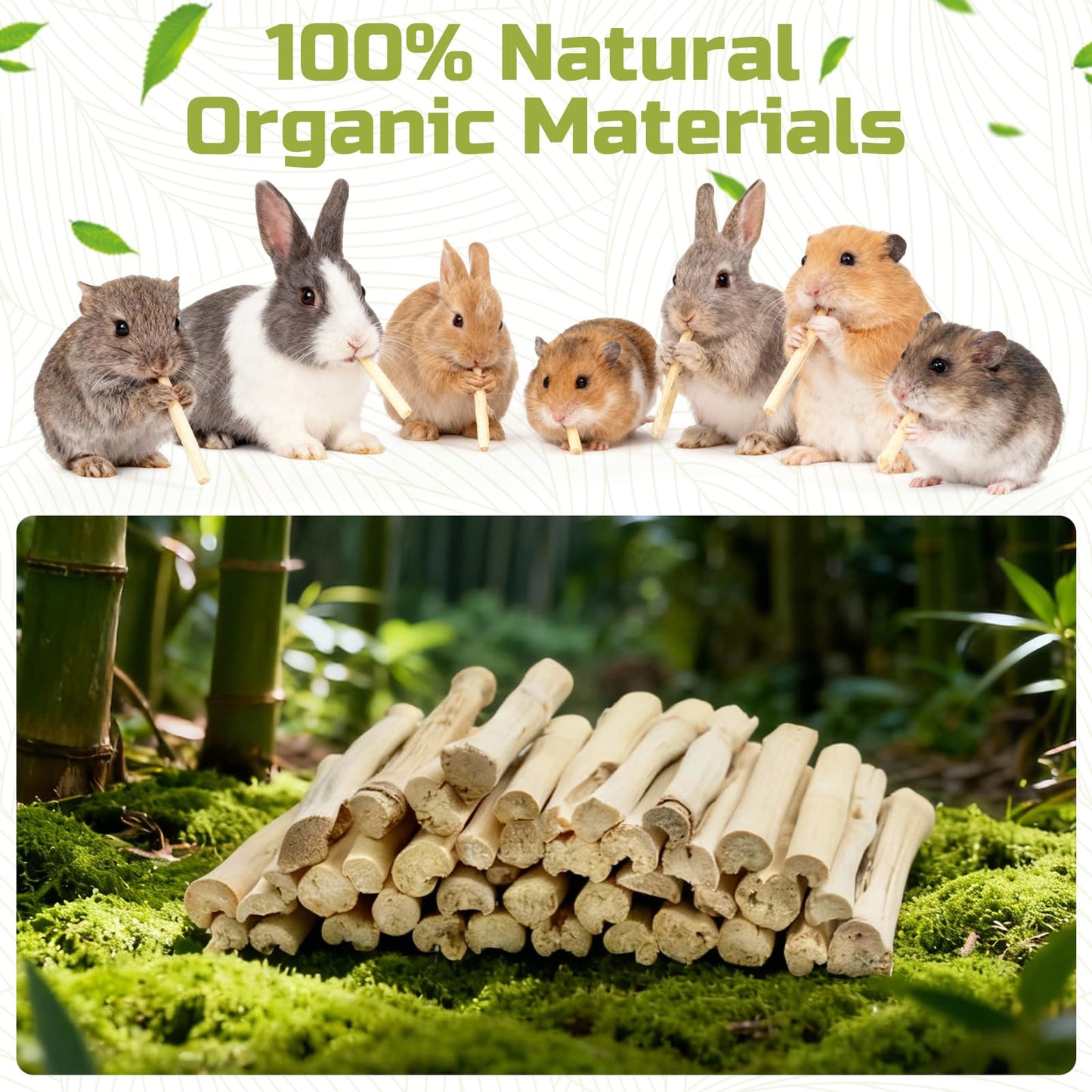 StyEdEk 2.2Lb/1000g Natural Sweet Bamboo Chew Toys Chew Sticks Bamboo Sticks Teething Toy for Rabbit, Bunny, Guinea Pig, Hamster, Chinchilla, Bunny, Rat and Other Small Animals