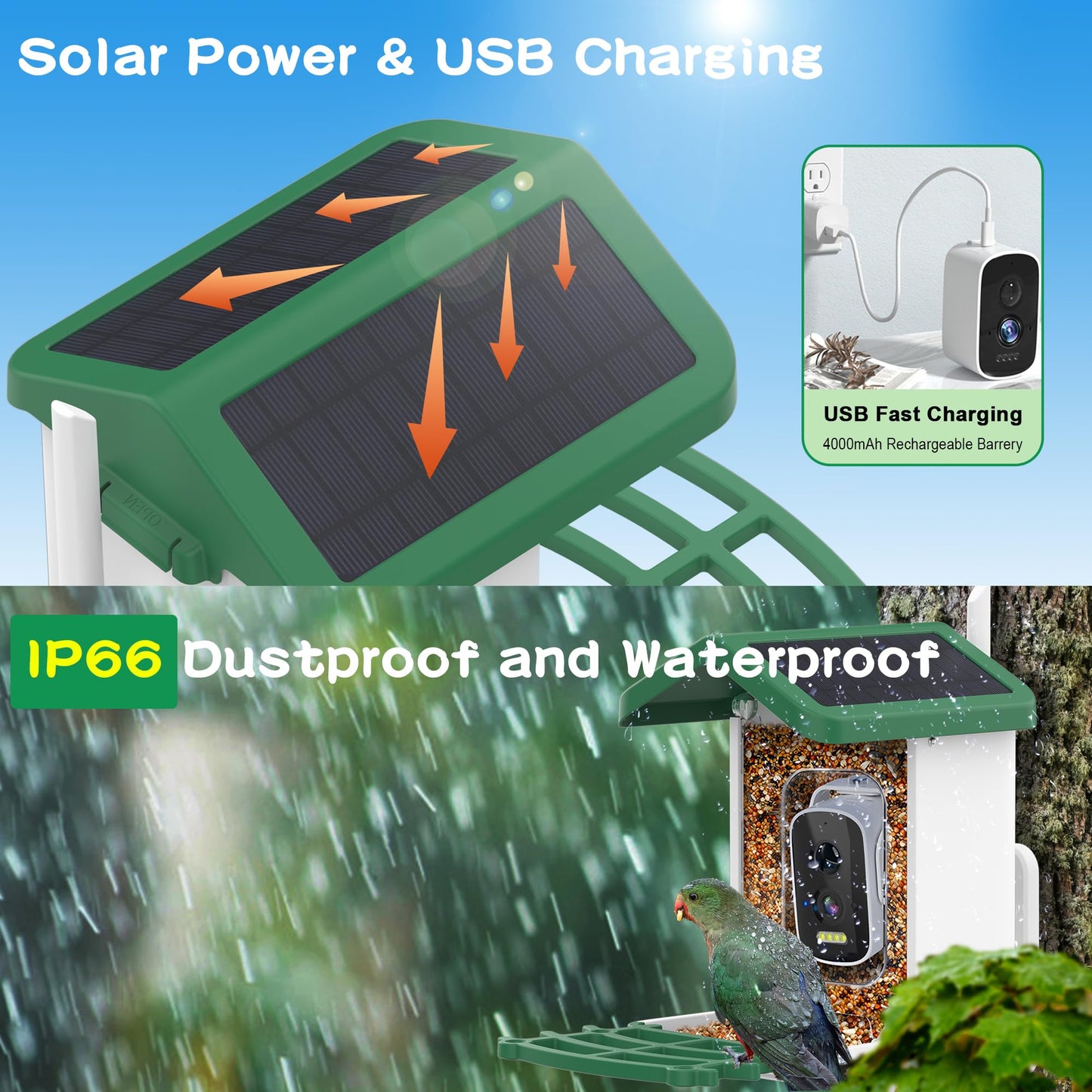 Bird Feeder with Camera,Smart AI Feeder with Solar-Powered Camera – Auto Identifier, Live View, Instant Visit Alerts, HD Video Capture for Bird Watching Enthusiasts (Weatherproof) 2.4GHz WiFi- Green