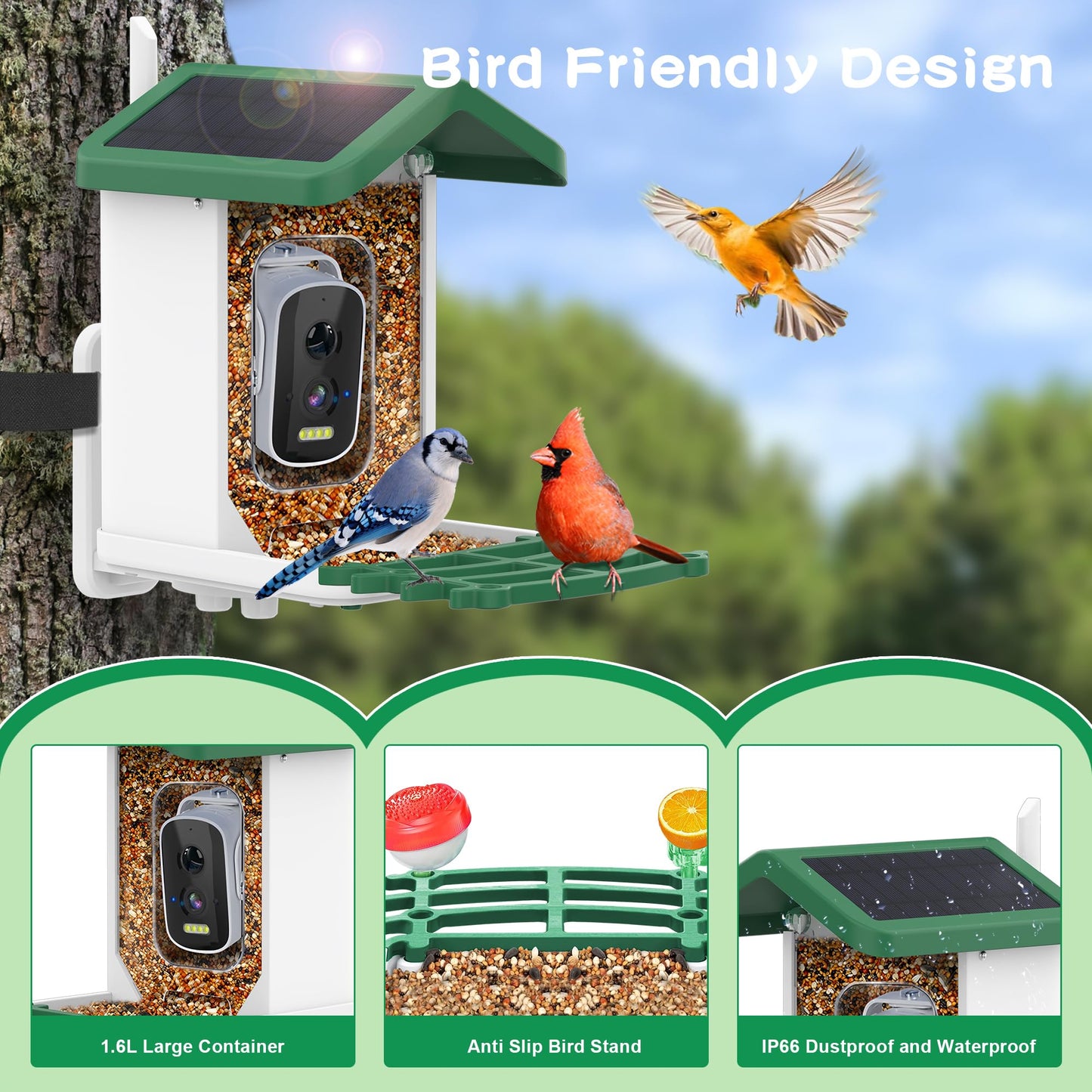 Bird Feeder with Camera,Smart AI Feeder with Solar-Powered Camera – Auto Identifier, Live View, Instant Visit Alerts, HD Video Capture for Bird Watching Enthusiasts (Weatherproof) 2.4GHz WiFi- Green