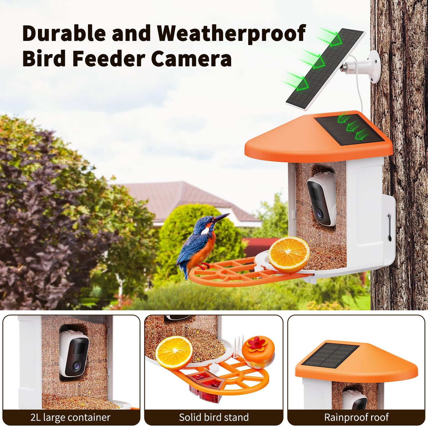 HARYMOR Bird Feeder with Camera with AI Identify Birds Species Solar Powered, Smart Bird House with Cam, 2K HD Video Live Stream, Instant Arrival Alerts - Orange