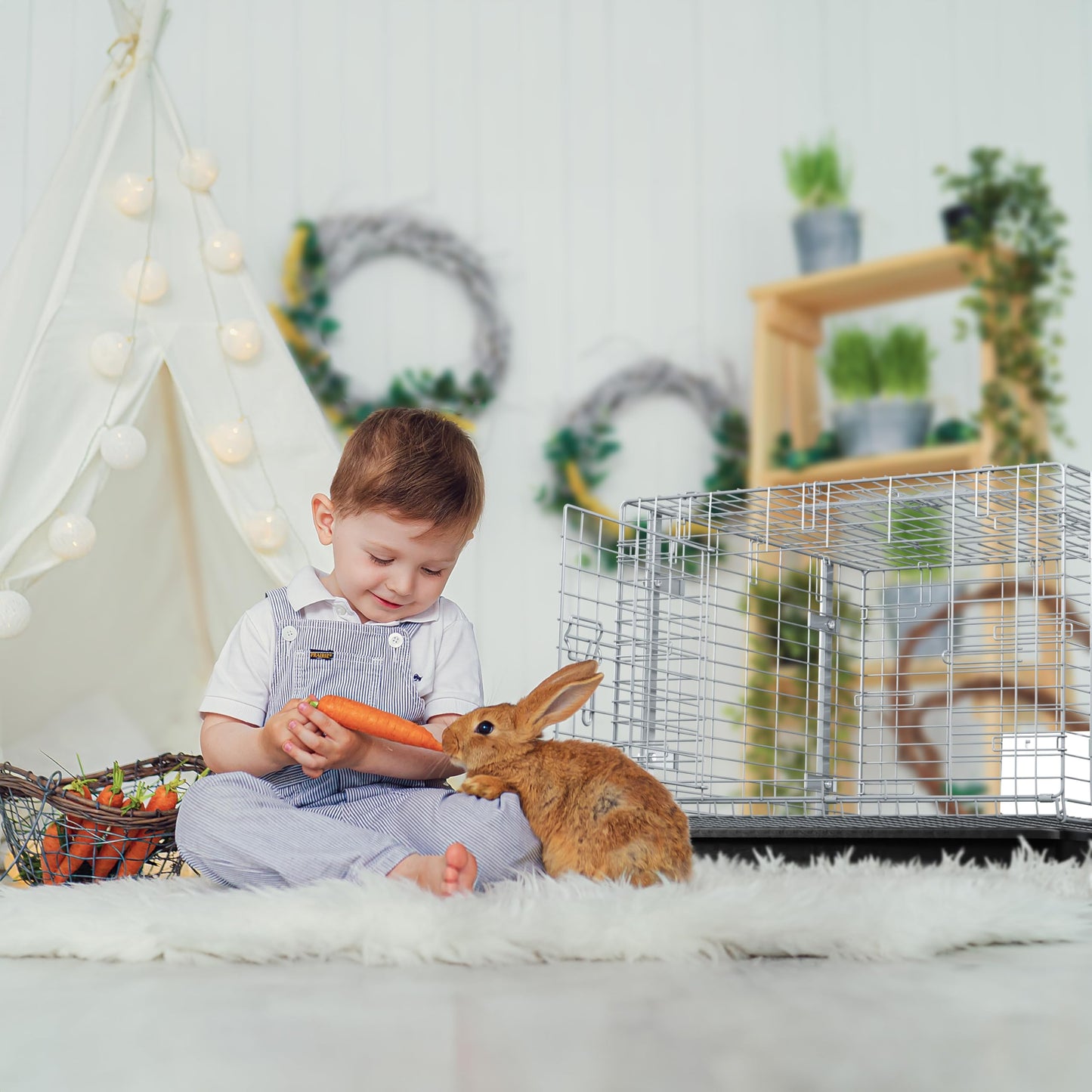 HOMESTEAD Rabbit Cage with Pull-Out Tray – 24 Inch Bunny Cage, Metal Rabbit Breeding Cage, Dual Access Doors, Waterproof Bottom & Urine Guard