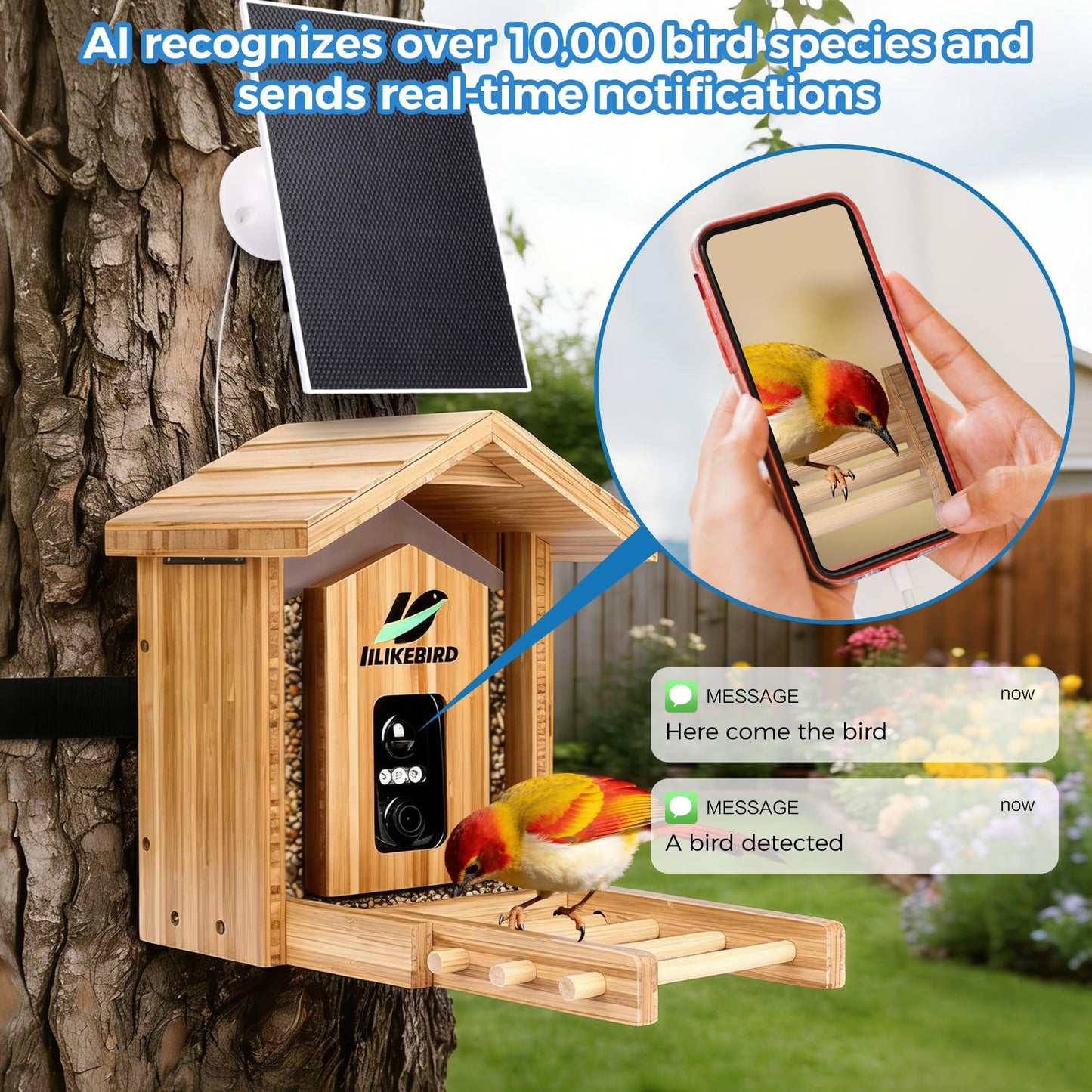 IILIKEBIRD Smart Bird Feeder with 4K Camera, 10000+ AI Bird Identification, Solar & USB-C Charging, IP65 Weatherproof, Wall/Pole Mount Small Bird Feeder for Outdoor Gardenf