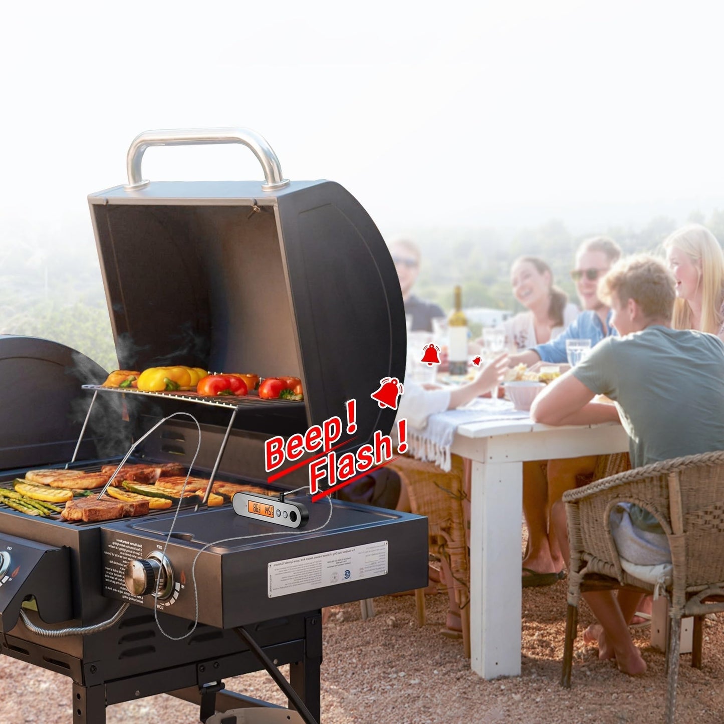 BERHUTJ Rechargable Waterproof Backlight 2 in 1 Folding Wired Probe Digital Kitchen Cooking Oven BBQ Meat Thermometer
