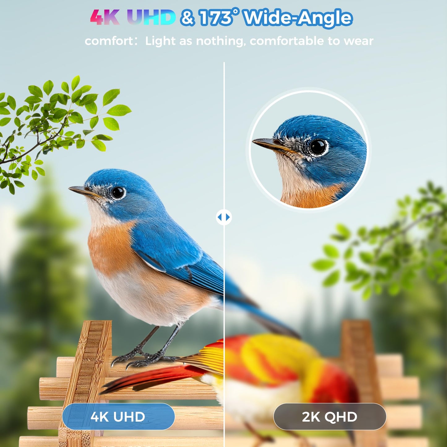 IILIKEBIRD Smart Bird Feeder with 4K Camera, 10000+ AI Bird Identification, Solar & USB-C Charging, IP65 Weatherproof, Wall/Pole Mount Small Bird Feeder for Outdoor Gardenf
