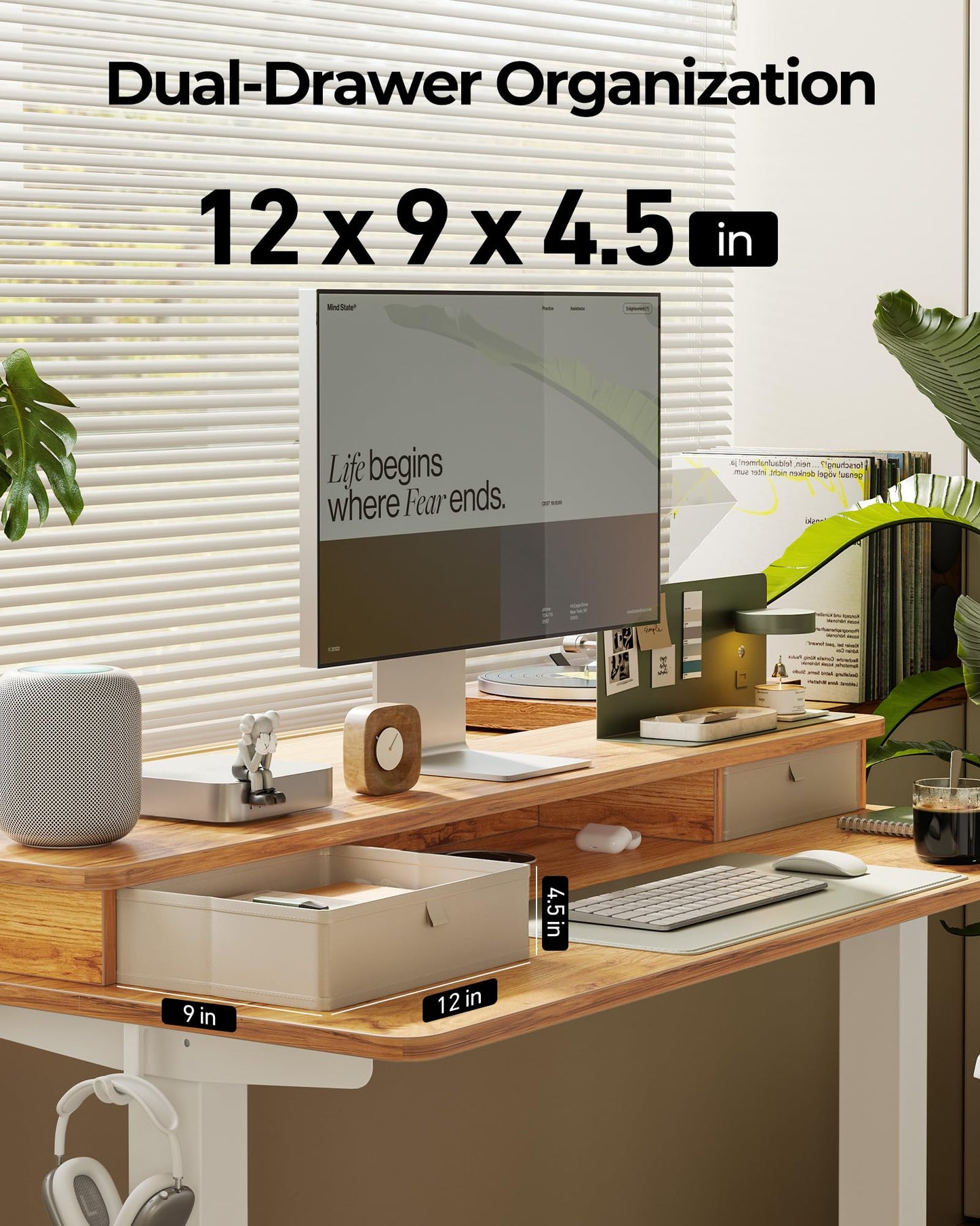 TENKIA 48x24 Inch Electric Standing Desk with Double Drawers, Adjustable Feet & Hooks, Ergonomic Home Office Workstation, Light Rustic