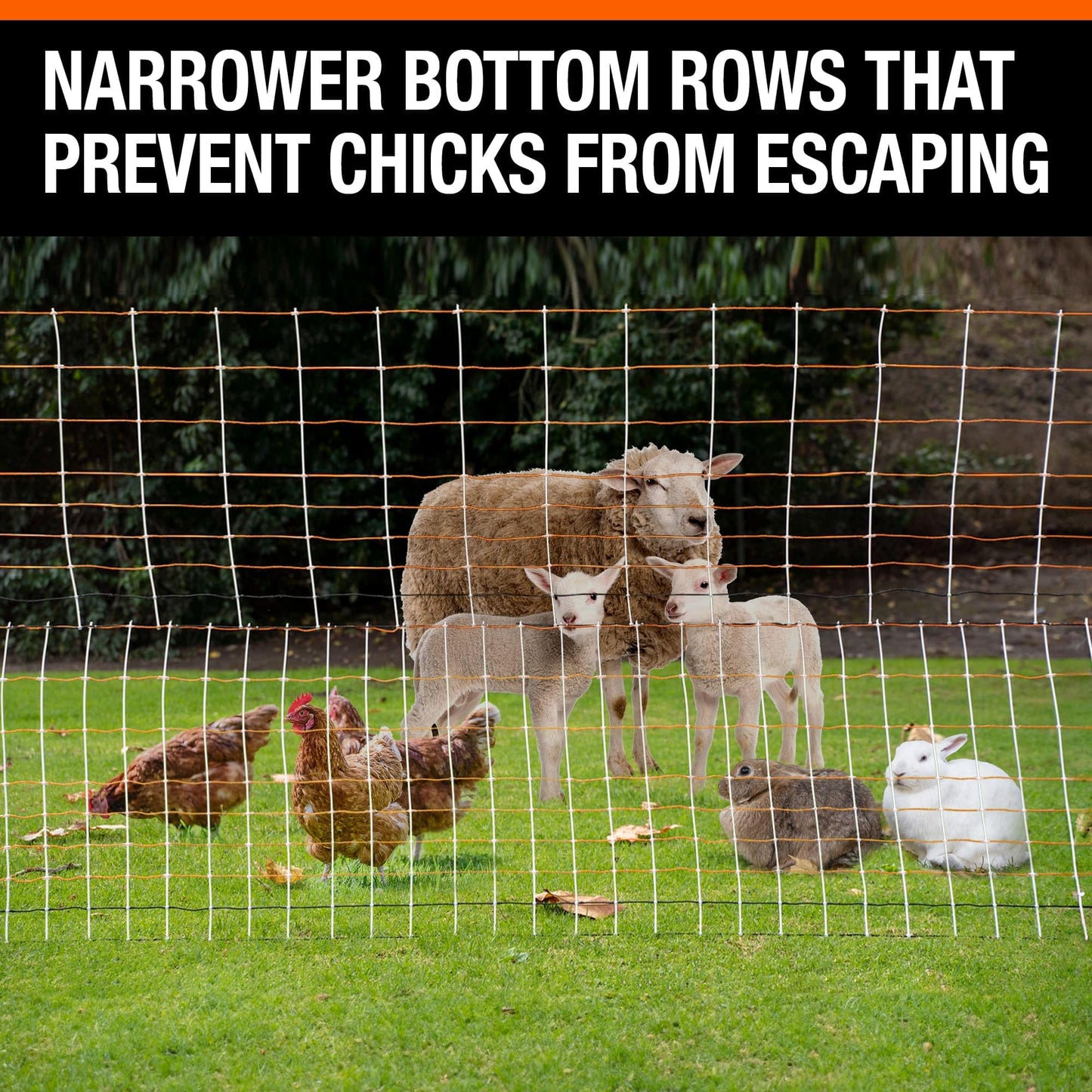 Premium Semi-Rigid Electric Poultry Netting Fence 48" x 164' - Portable Pre-Assembled Electric Fencing for Chicken Sheep Goats (19 Posts, 2 Spikes)