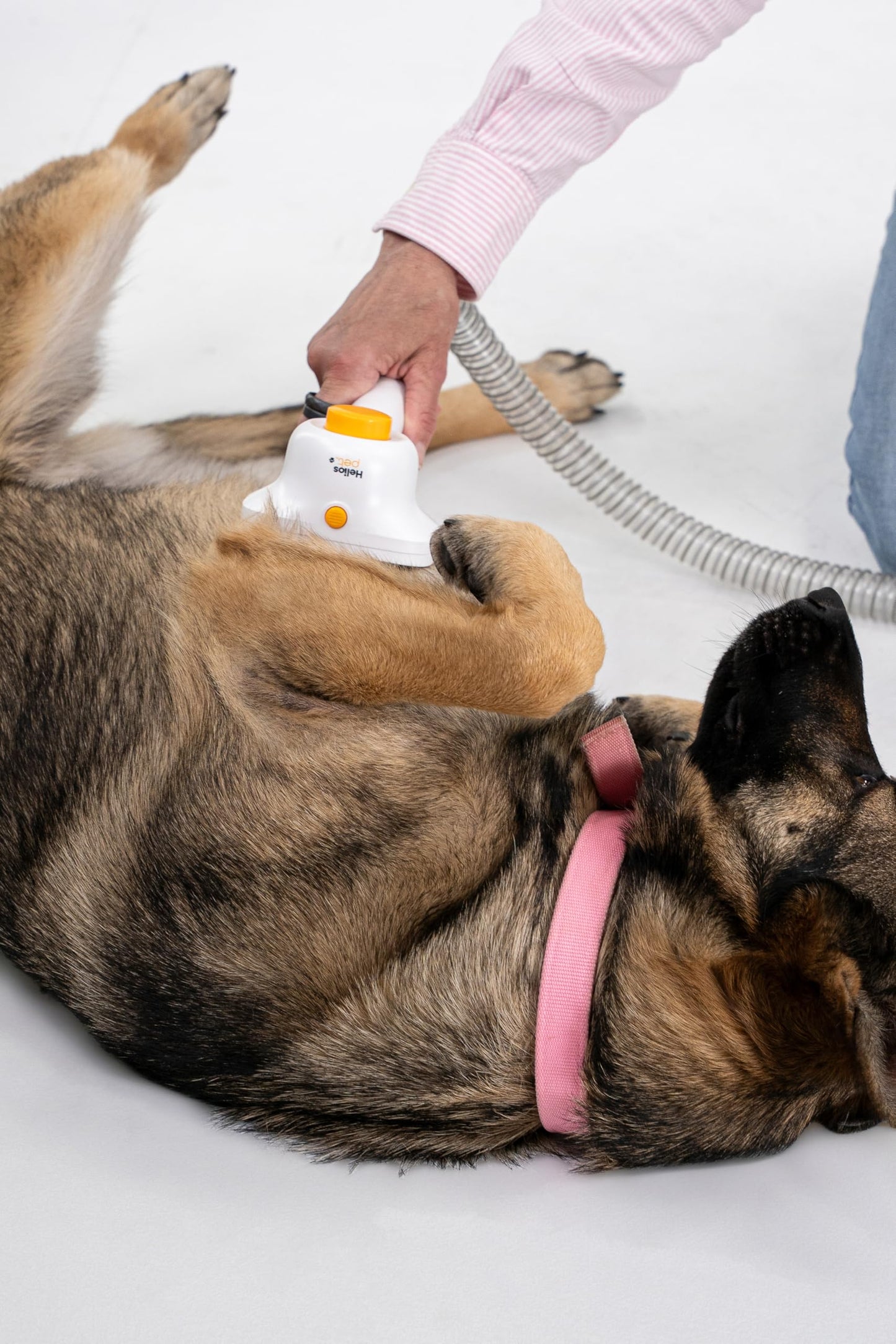 Helios Pet Deluxe Grooming Vacuum Cleaner - All-in-One Trimmer, De-Shedding & Cleaning System for Dogs & Cats