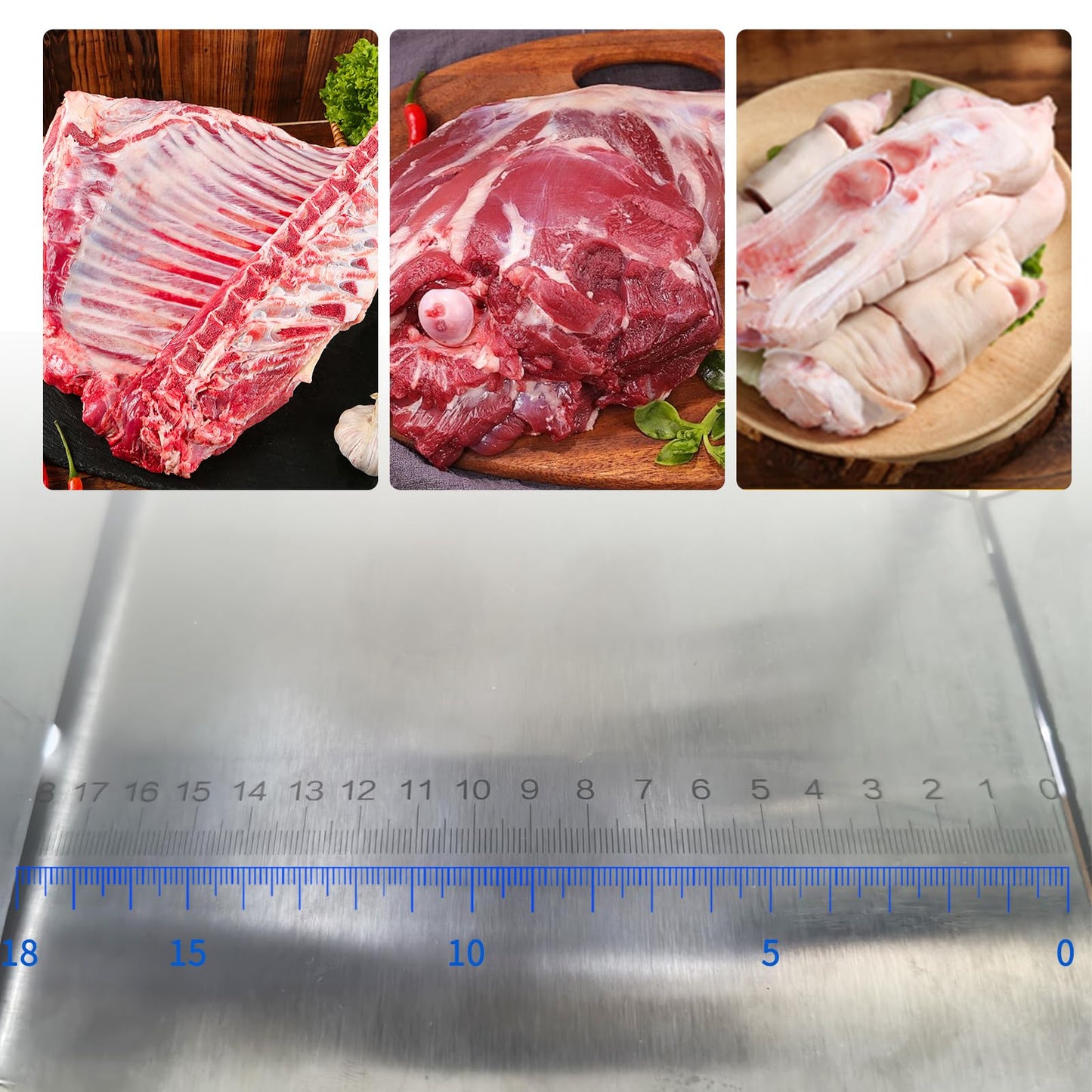 1100W Electric Bone Saw Machine Commercial Electric Meat Bandsaw for Butchering, 18.8" x 14.9" Workbench, 0.4-7.1 Inch Cutting Thickness, Table Sawing for Cutting Rib, Frozen Meat with 5 Saw Blades