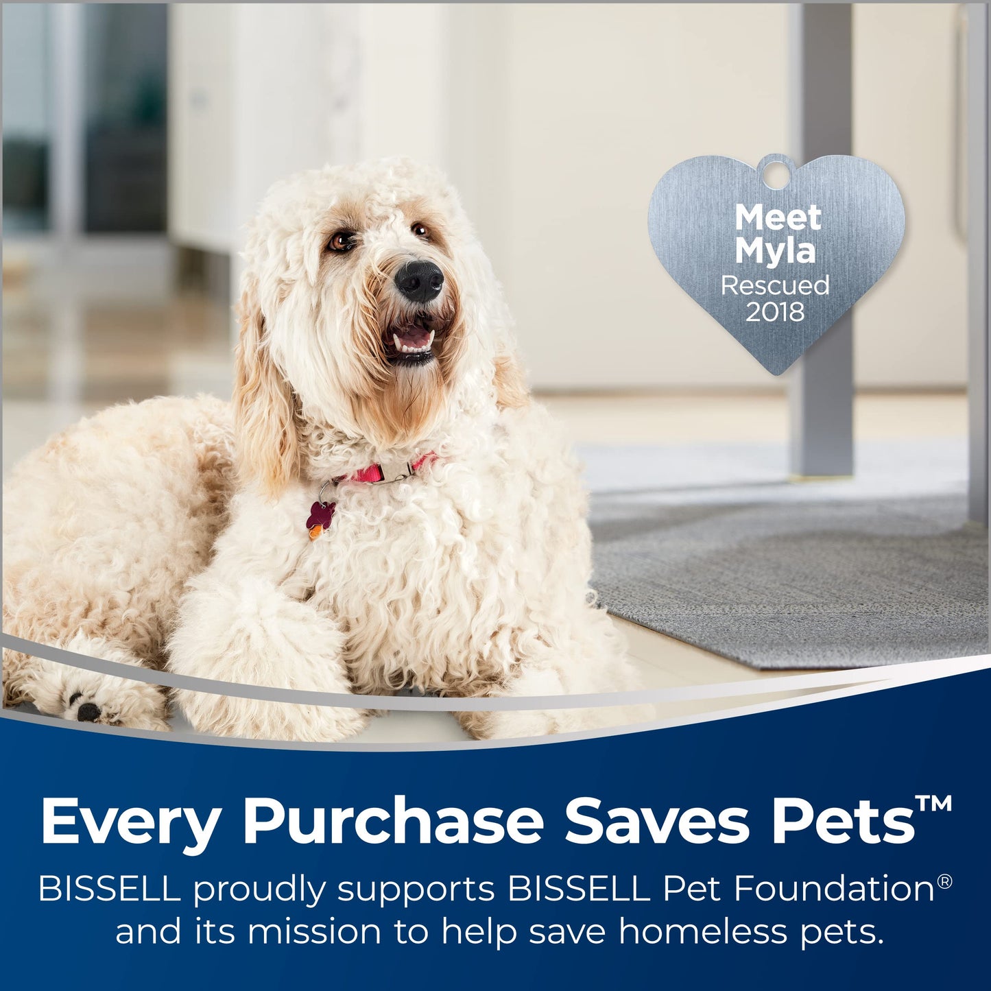 Bissell® CrossWave® X7 Cordless Pet Pro Multi-Surface Wet Dry Vac, 3011