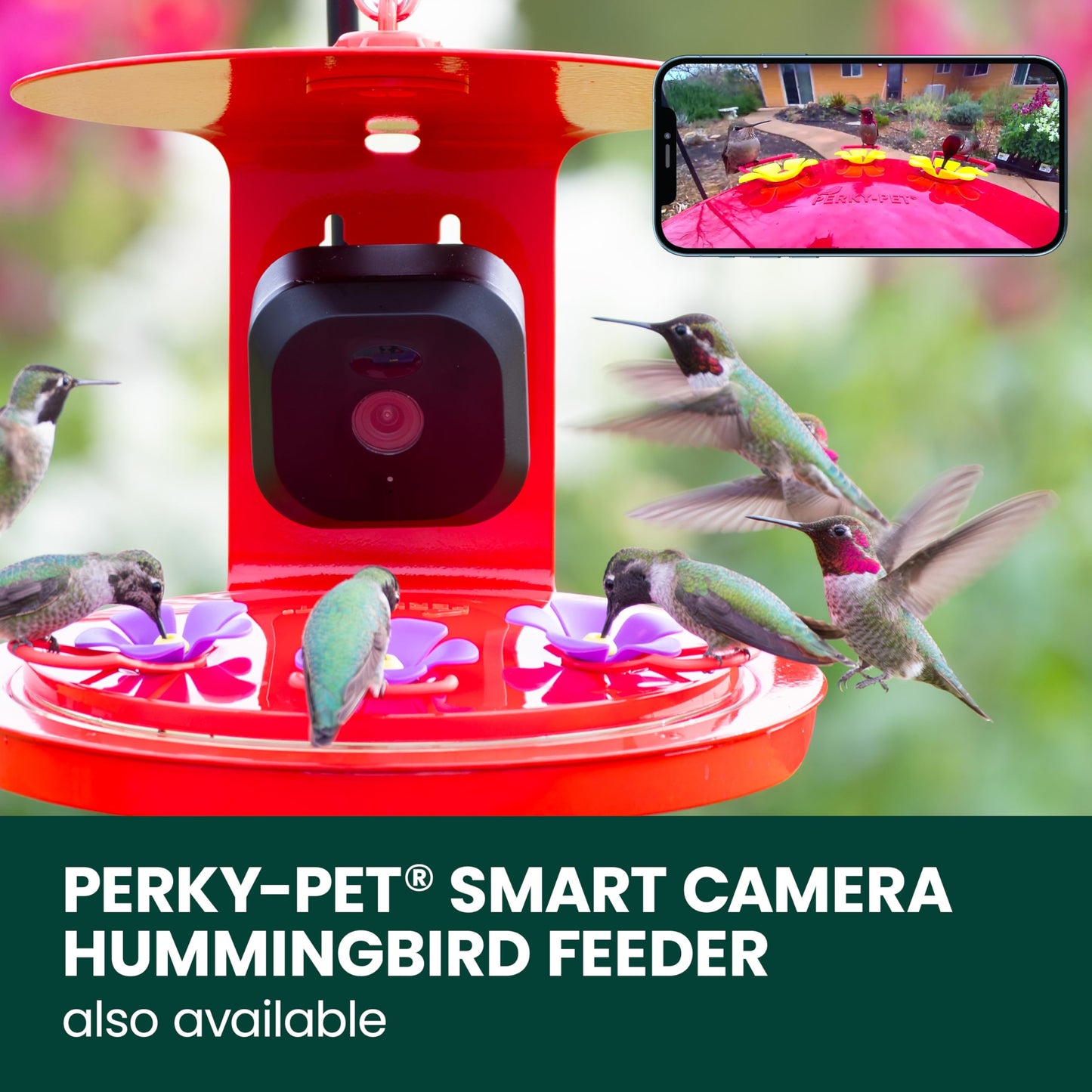 Perky-Pet Solar Powered Smart Bird Feeder with Camera - Squirrel-Resistant, 3.2L Capacity, Motion Activated 1080p HD WiFi Live Stream Camera, SPCAM, SPCAMSLR - Camera Feeder Gift Idea, Forest Green