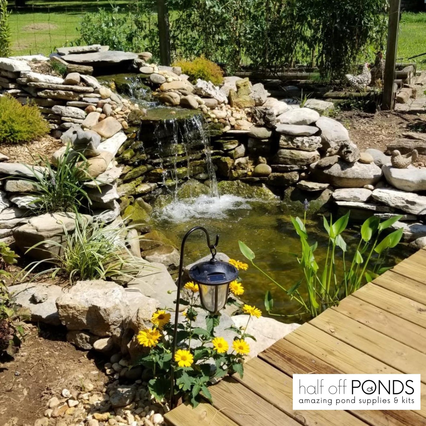 HALF OFF PONDS Savio Select 3,000 GPH Submersible Pump Pond Kit with 20' x 25' EPDM Rubber Pond Liner for Water Garden & Koi Pond