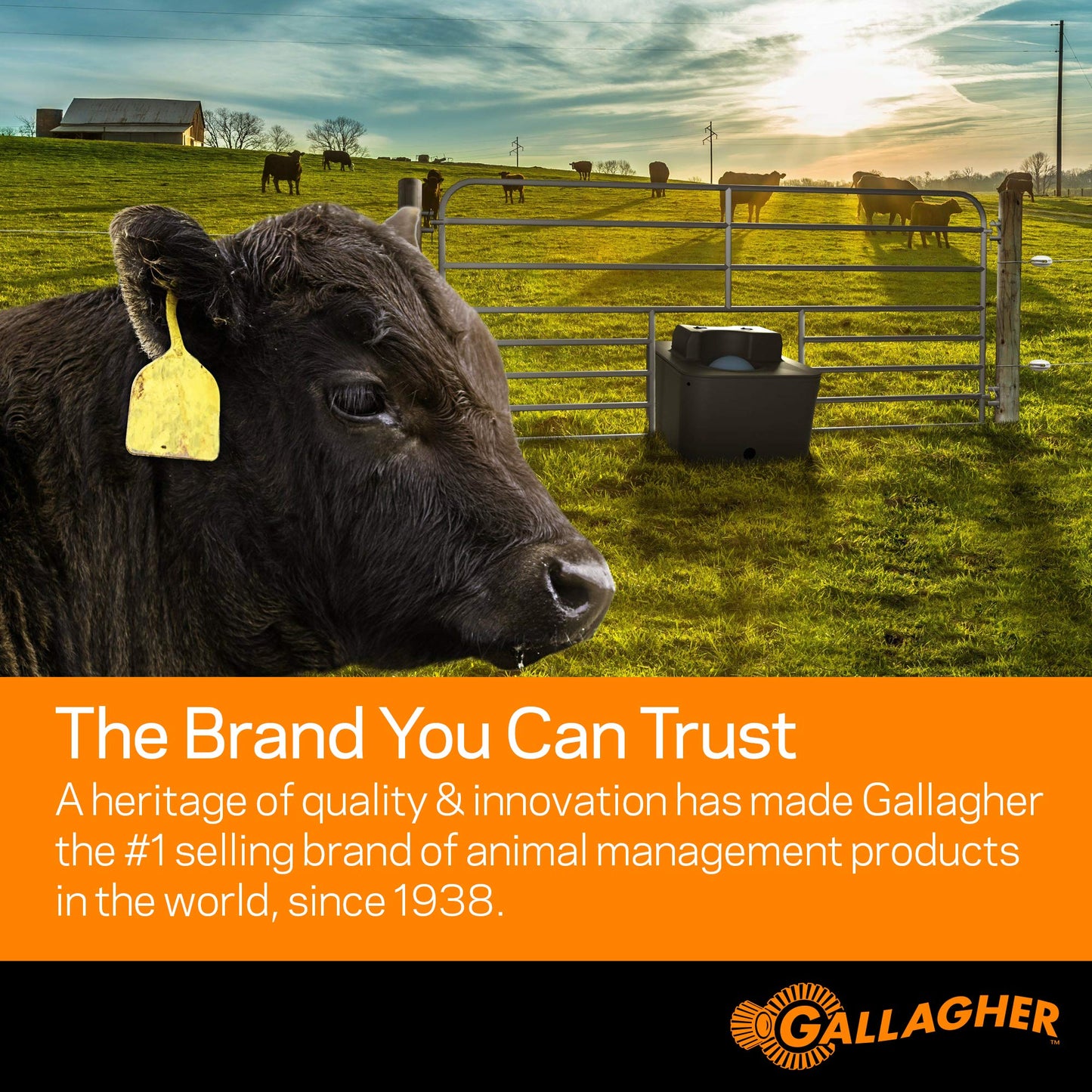 Gallagher M160 Electric Fence Charger | Powers Up to 30 Miles / 100 Acres of Clean Fence | 1.6 Joules, 110 Volt Energizer | Unbeatable Reliability | Tough Outer Casing Mounting