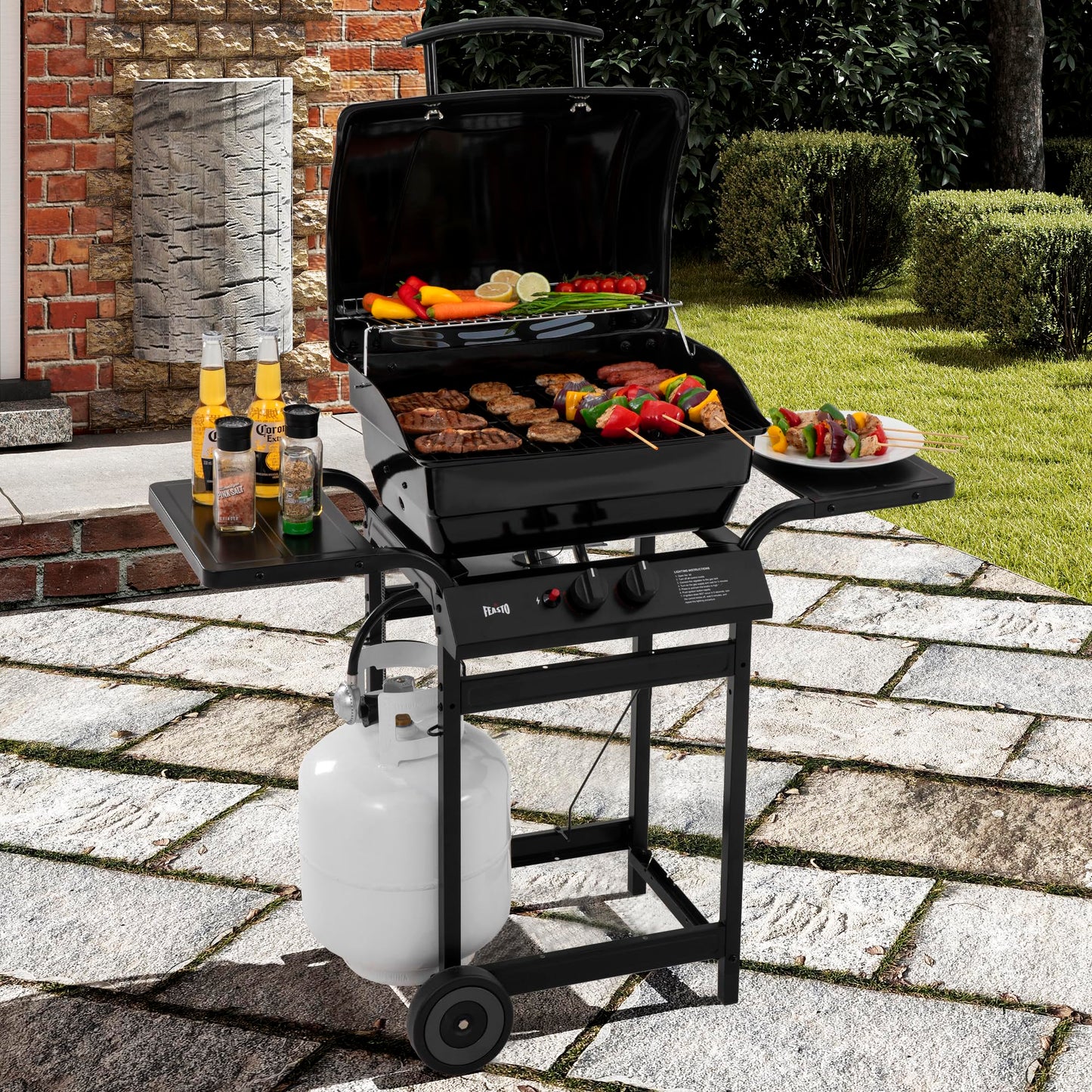 Feasto 2 Burner Propane Gas Grill with 26,500 BTUs Output, Porcelain-Enamel Main Body and Lid, Propane BBQ Grill with Warming Rack & Side Tables for Patio, Backyard, Poolside Gatherings