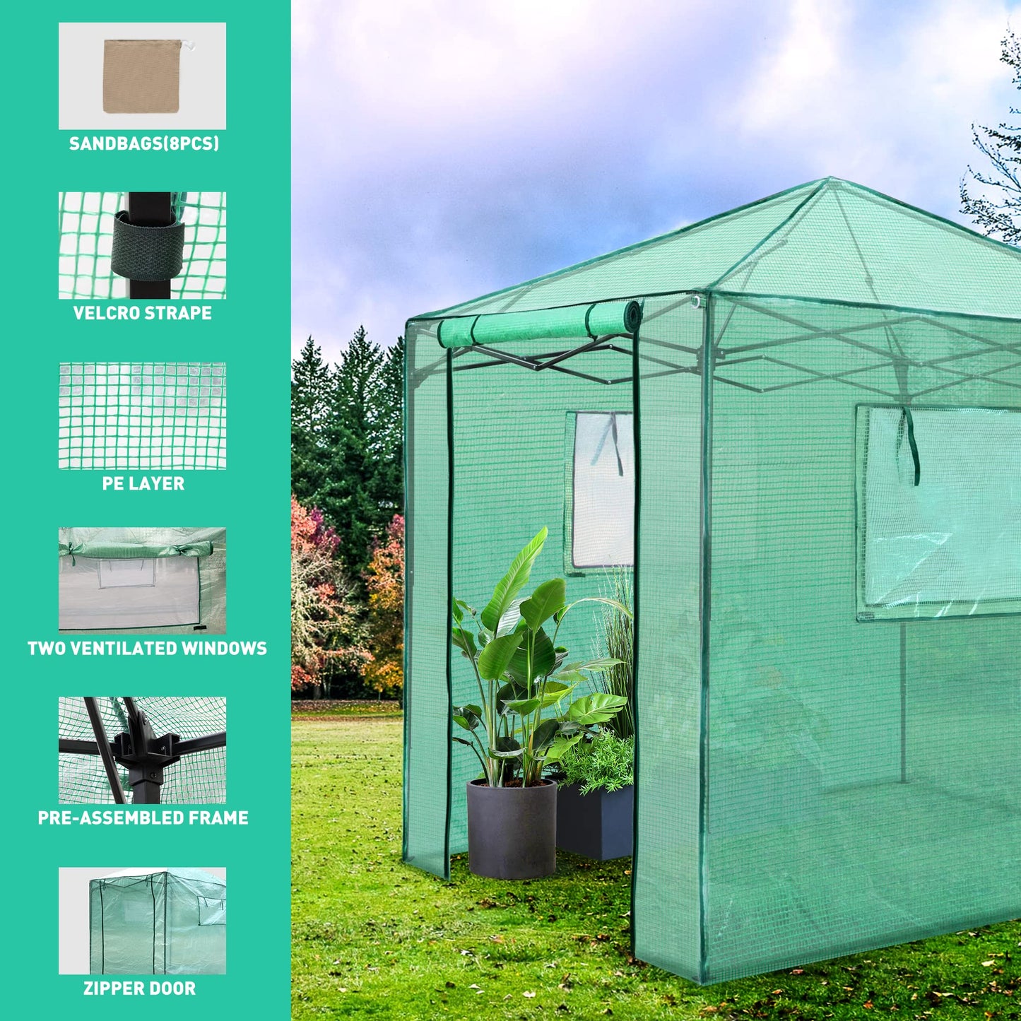 PexFix 8'x 8' Portable Walk-in Greenhouse, Easy Setup, Indoor/Outdoor, 2 Roll-Up Mesh Windows, Roll-Up Zipper Door, Green
