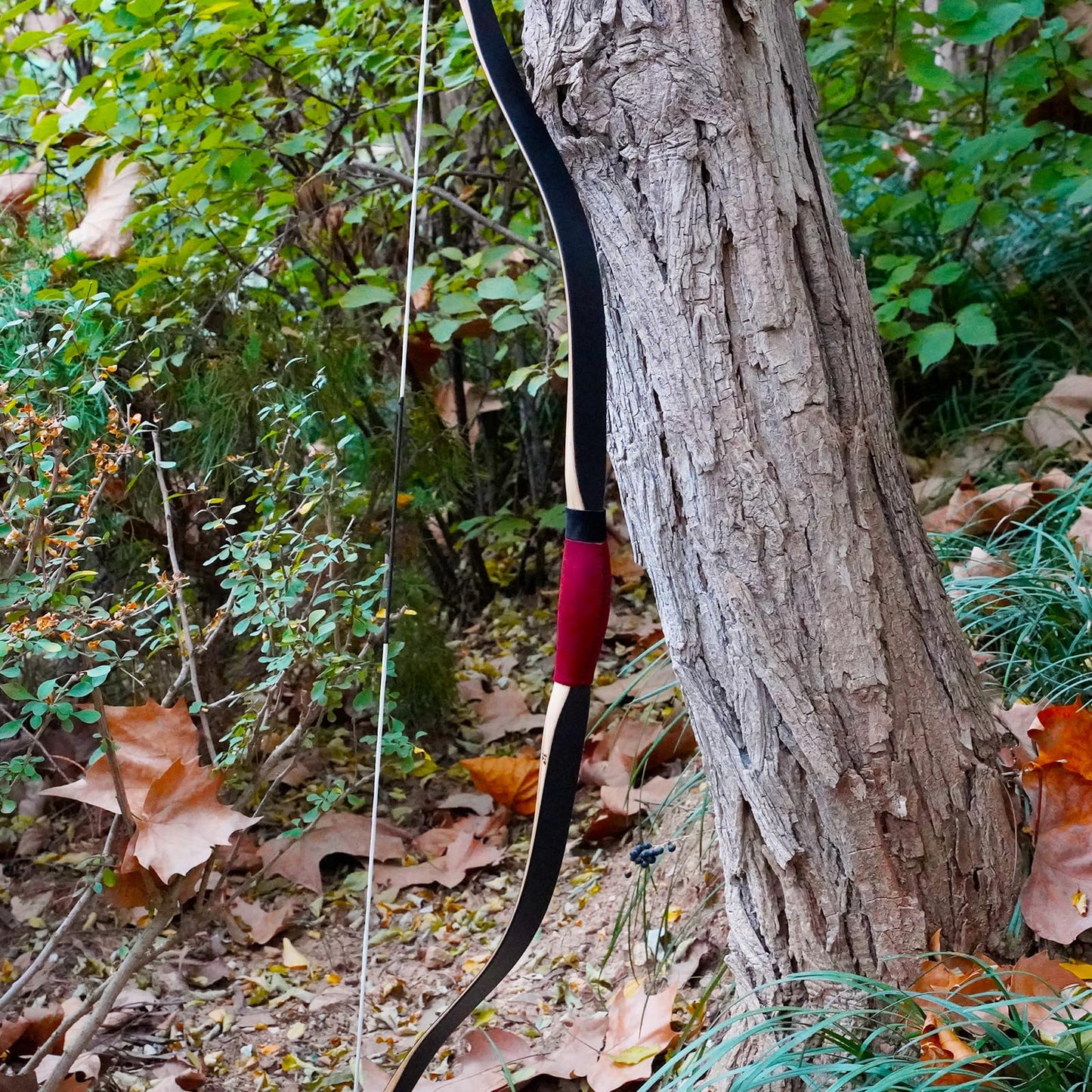 AF Archery Turkish Recurve Bow, 50" High-Performance Traditional Laminated Hunting Horse Bow for Adults Youth Beginners Enthusiasts and Hunting (Black Turkish, 50LBS)